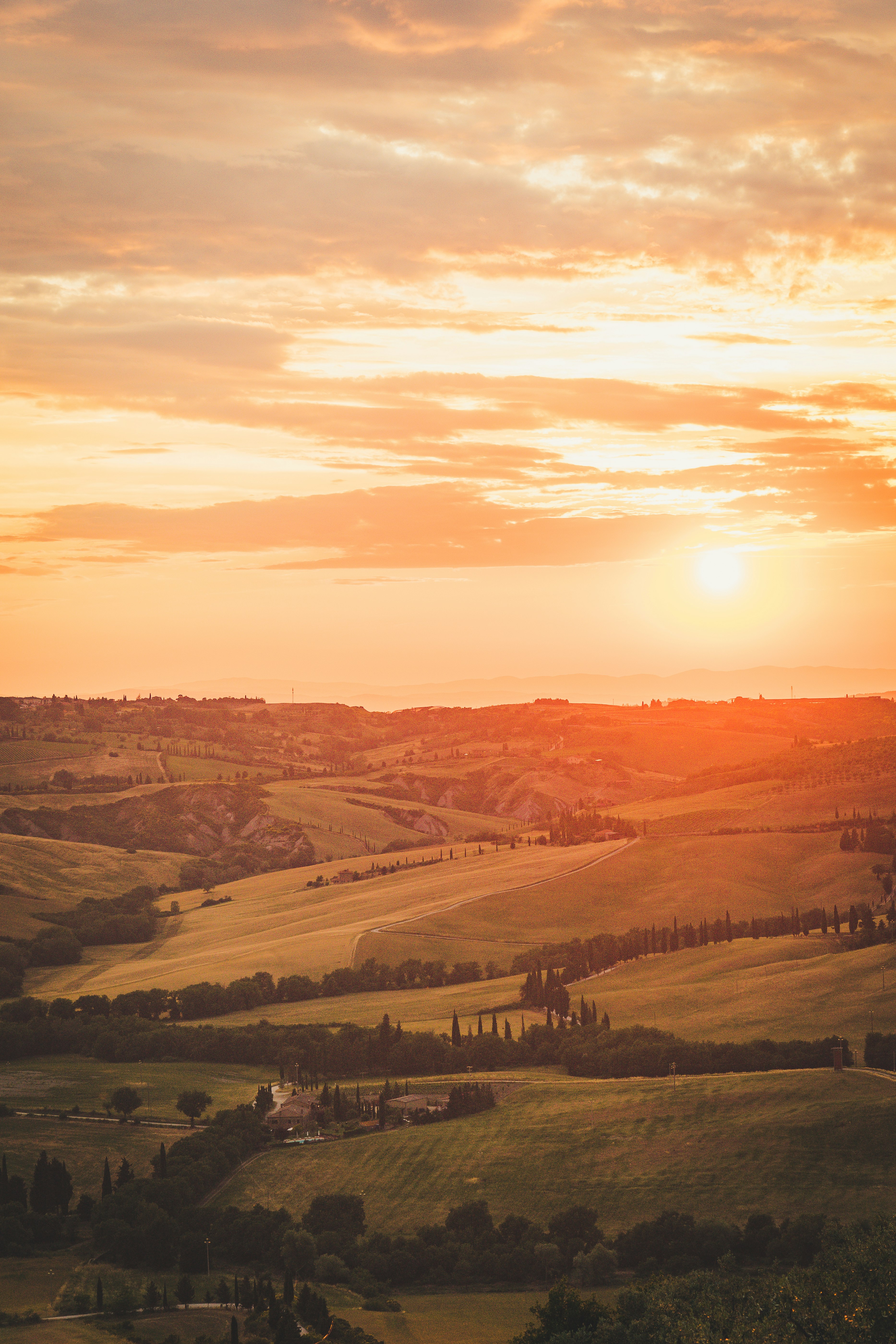 green grass field and mountains during sunset